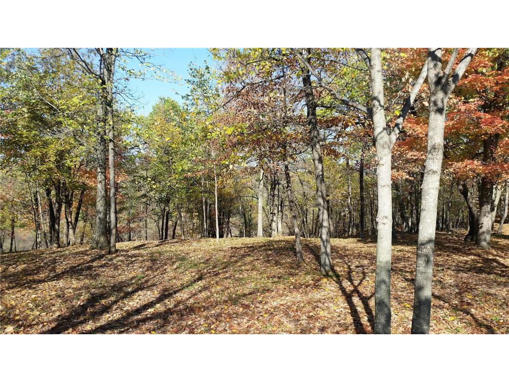 897 White Clover Beach Road Detroit Lakes MN 56501 6816404 image9