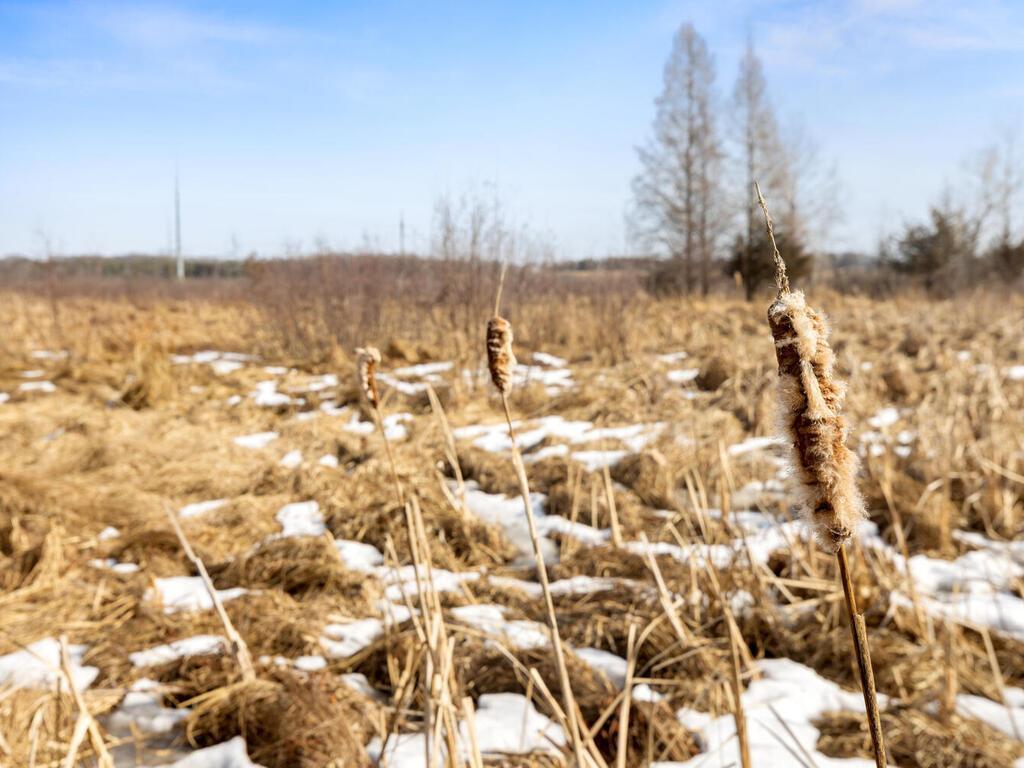 8979 Parkview Circle Chisago City MN 55013 7013856 image43