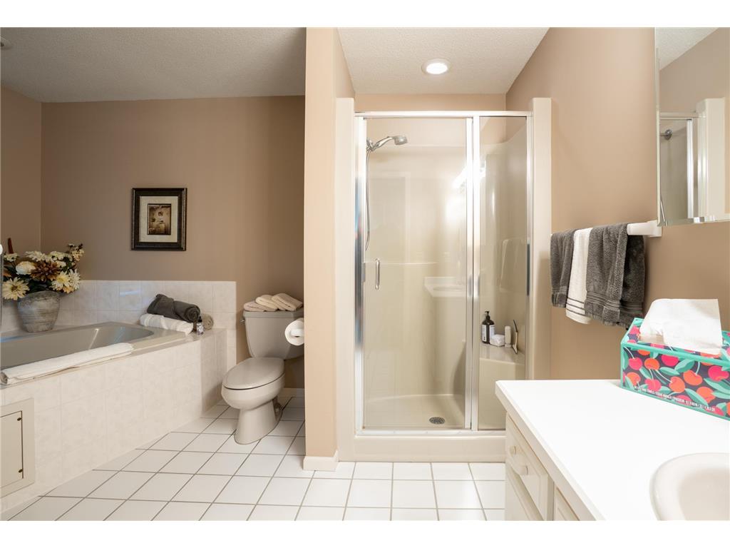 8980 160th Lane NW Ramsey MN 55303 7050466 image29