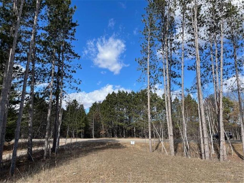 8982 Ryan Lake Drive NE Linwood Twp MN 55079 6677224 image1