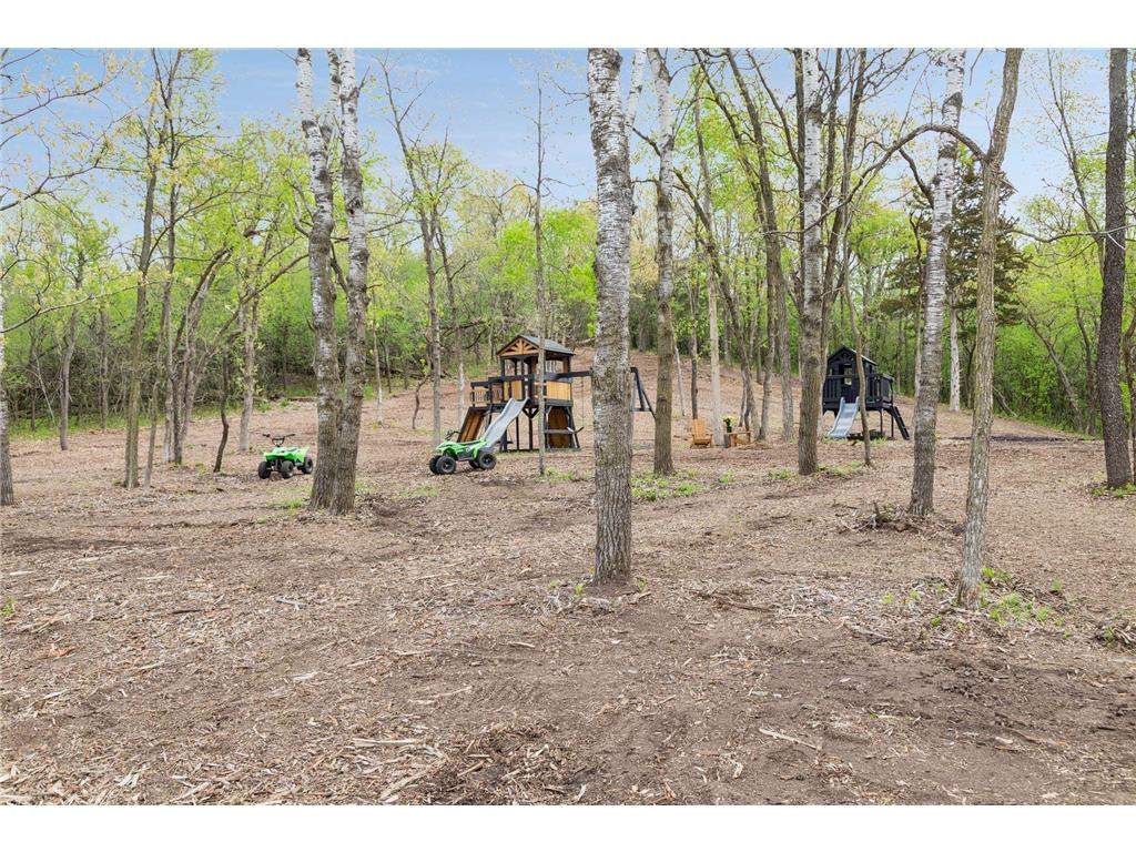 899 Gavin Pass Hudson WI 54016 7067341 image49