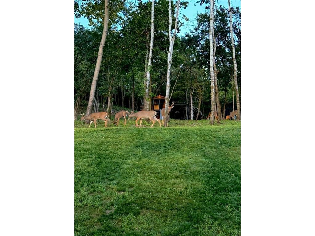 899 Gavin Pass Hudson WI 54016 7067341 image51