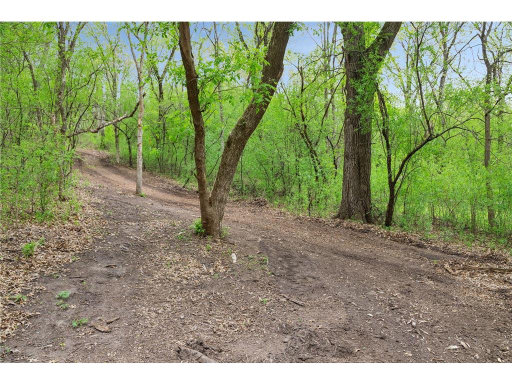 899 Gavin Pass Hudson WI 54016 7067341 image52