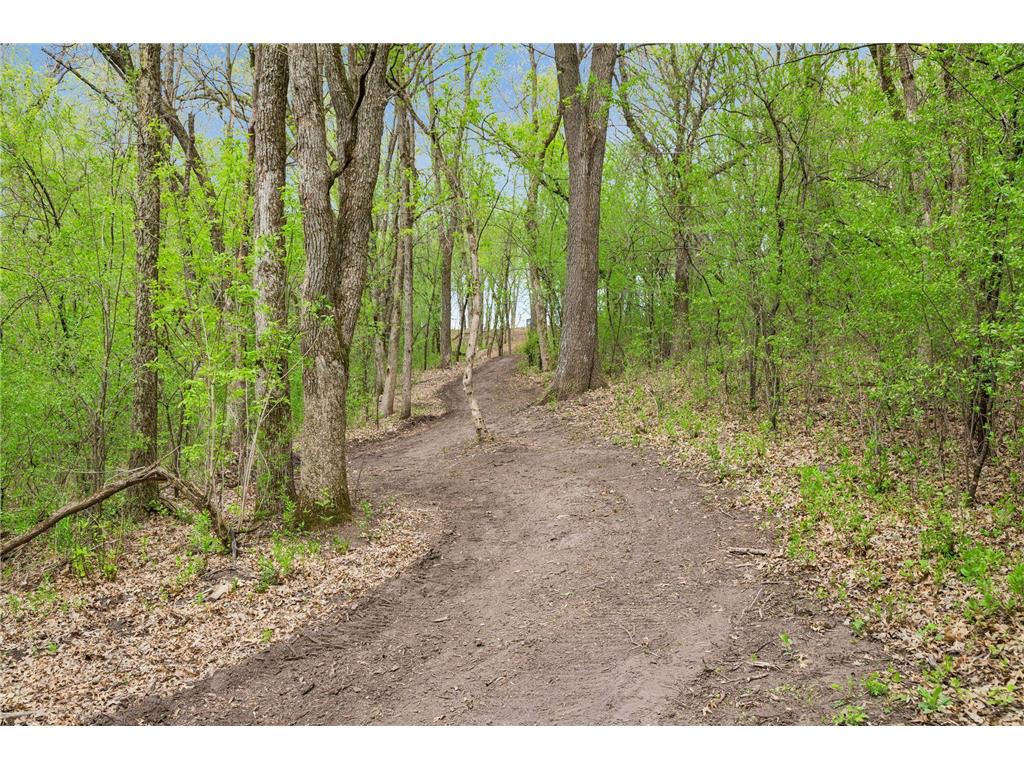 899 Gavin Pass Hudson WI 54016 7067341 image53