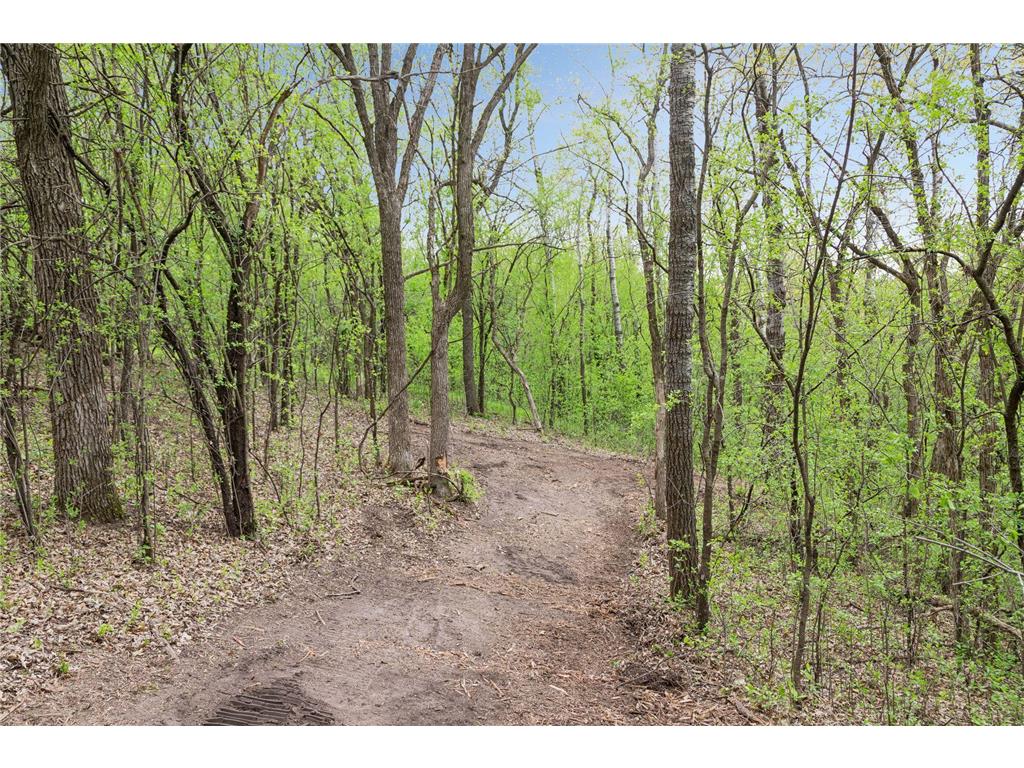 899 Gavin Pass Hudson WI 54016 7067341 image54