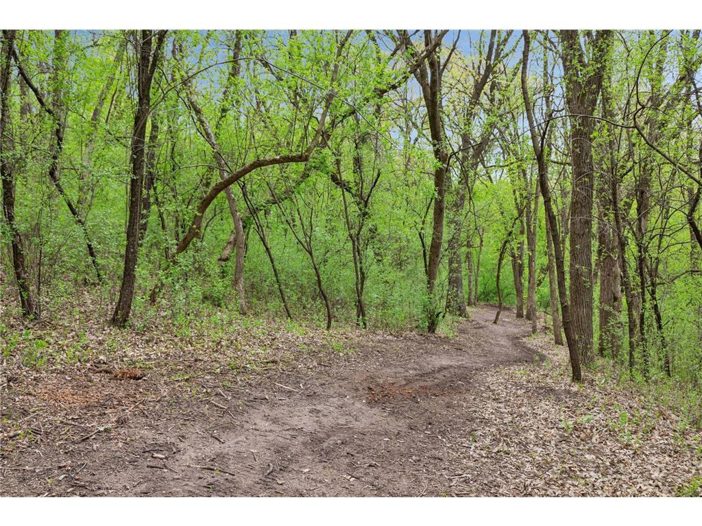 899 Gavin Pass Hudson WI 54016 7067341 image55