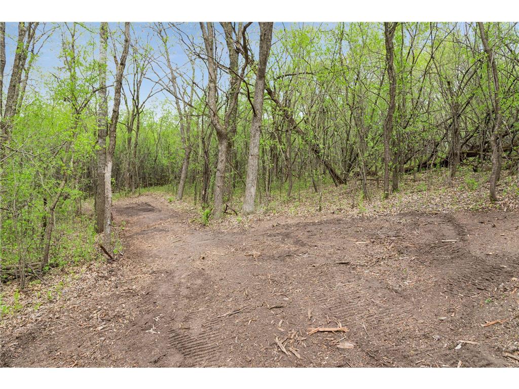 899 Gavin Pass Hudson WI 54016 7067341 image56