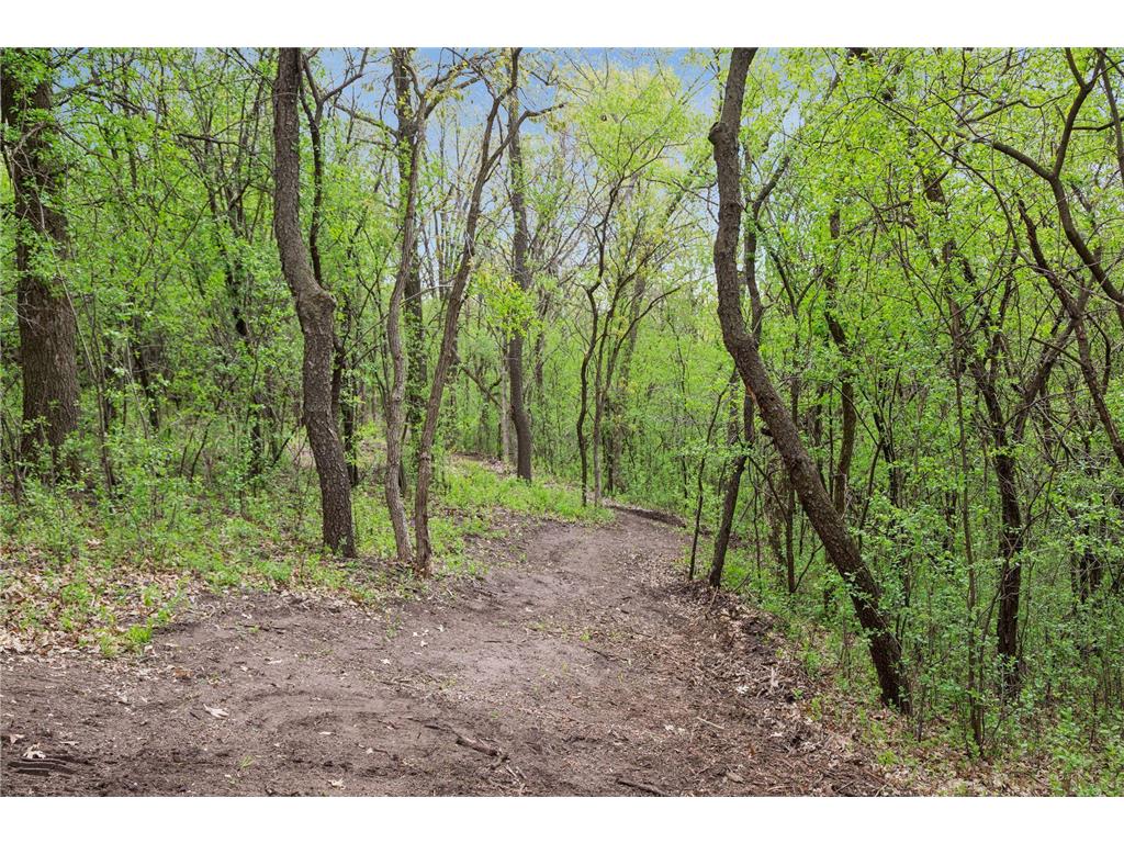 899 Gavin Pass Hudson WI 54016 7067341 image57