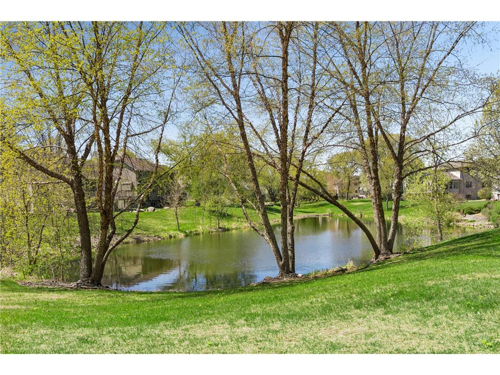 8991 Montegue Terrace Brooklyn Park MN 55443 7069957 image3