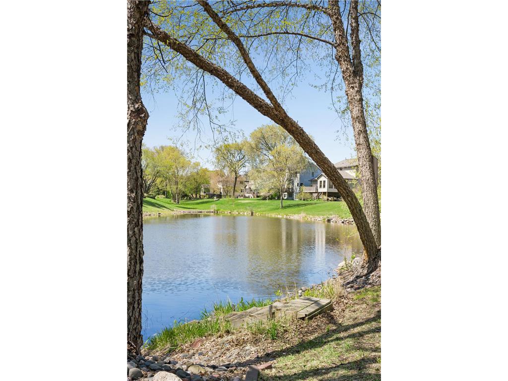 8991 Montegue Terrace Brooklyn Park MN 55443 7069957 image44