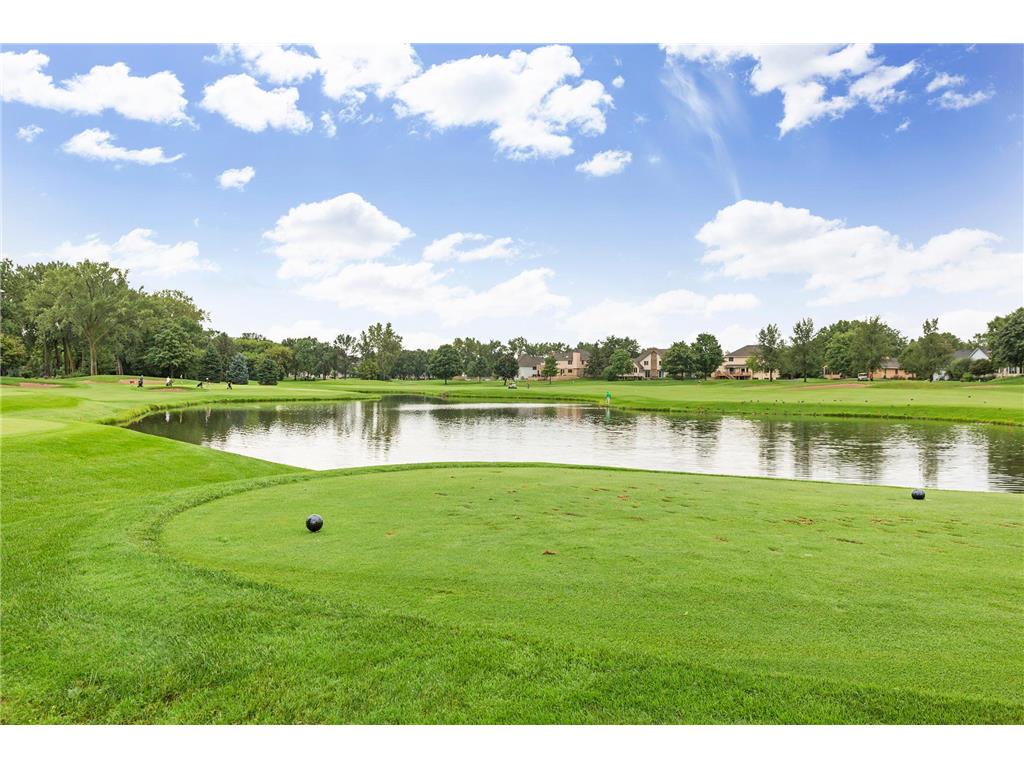 8991 Montegue Terrace Brooklyn Park MN 55443 7069957 image49