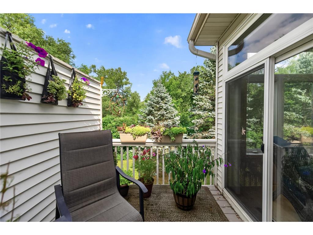 8992 Quail Court Saint Bonifacius MN 55375 7113381 image27