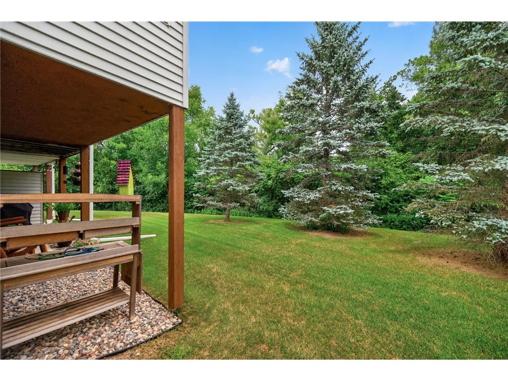 8992 Quail Court Saint Bonifacius MN 55375 7113381 image30