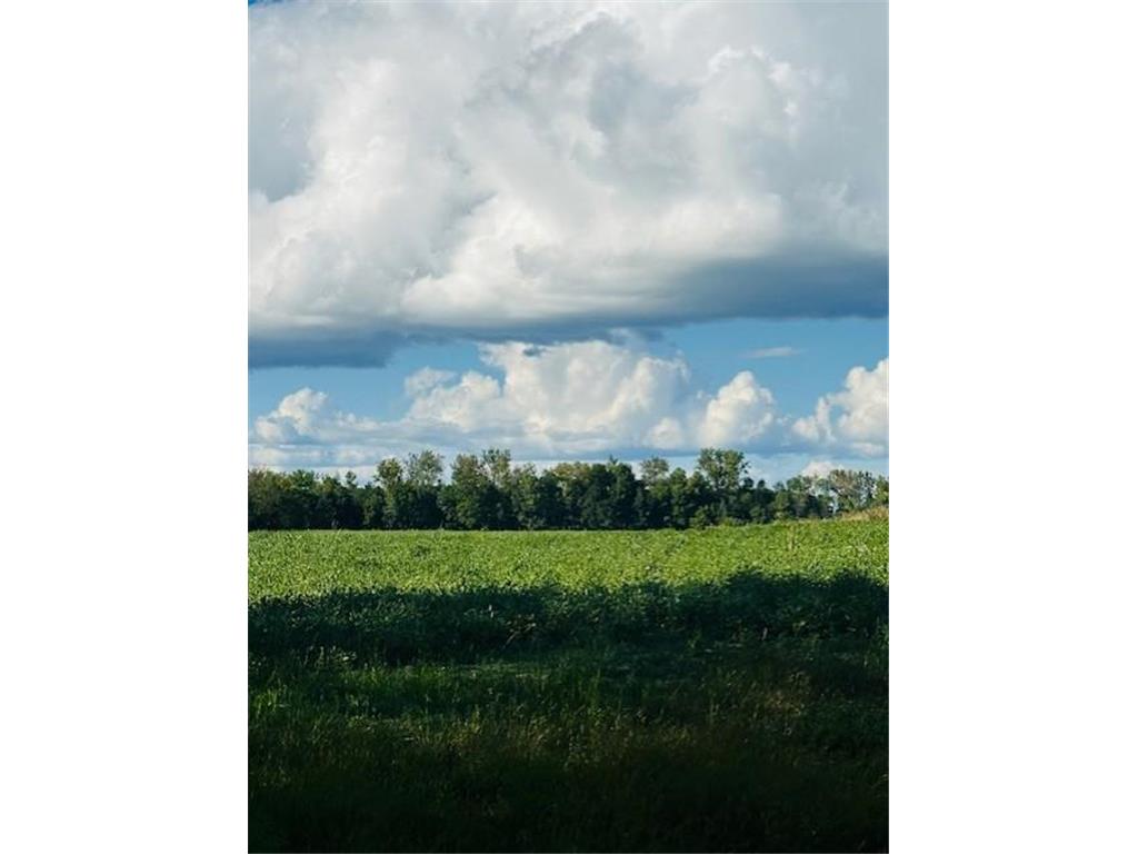 8XXX Rushseba Trail Rushseba Twp MN 55069 6800522 image1