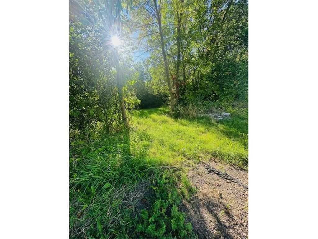 8XXX Rushseba Trail Rushseba Twp MN 55069 6800522 image4