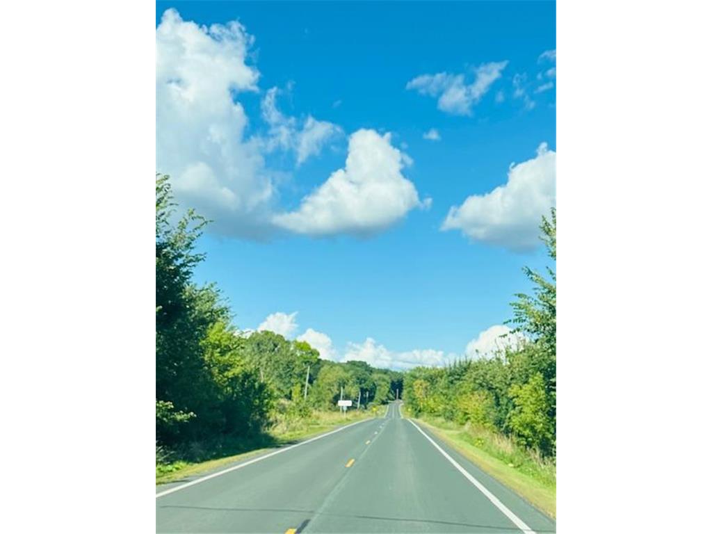 8XXX Rushseba Trail Rushseba Twp MN 55069 6800522 image9