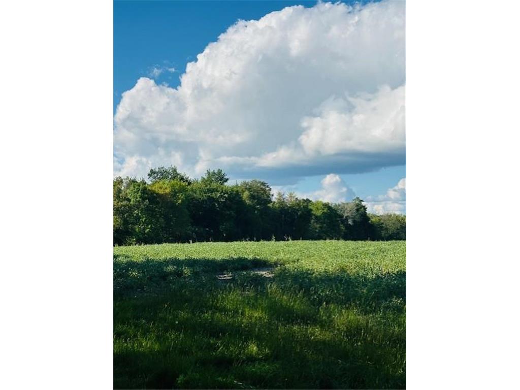 8XXX Rushseba Trail Rushseba Twp MN 55069 7025225 image2