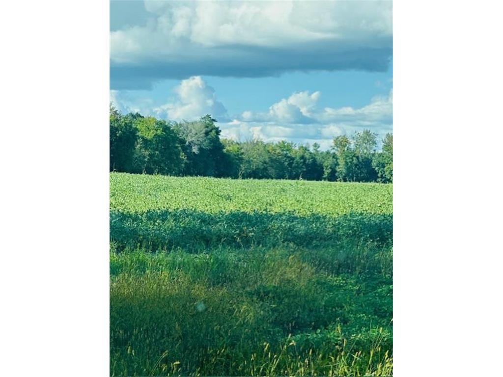 8XXX Rushseba Trail Rushseba Twp MN 55069 7025225 image6