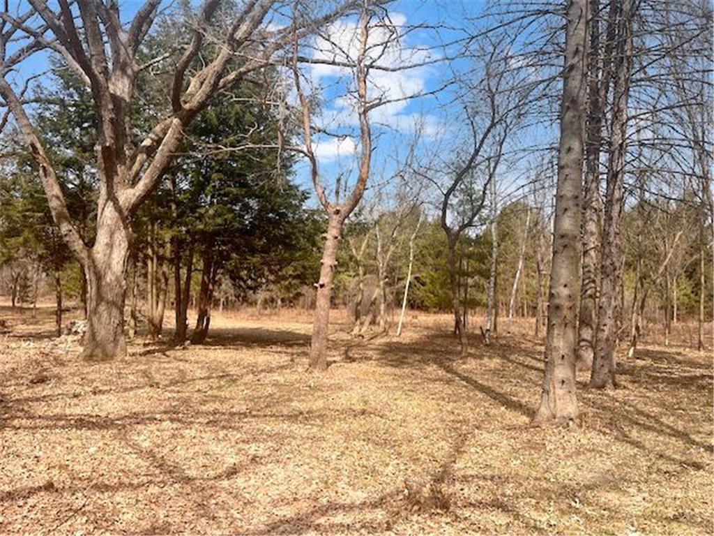 8xx 207th Street Osceola WI 54009 - Lotus Lake 7052361 image18