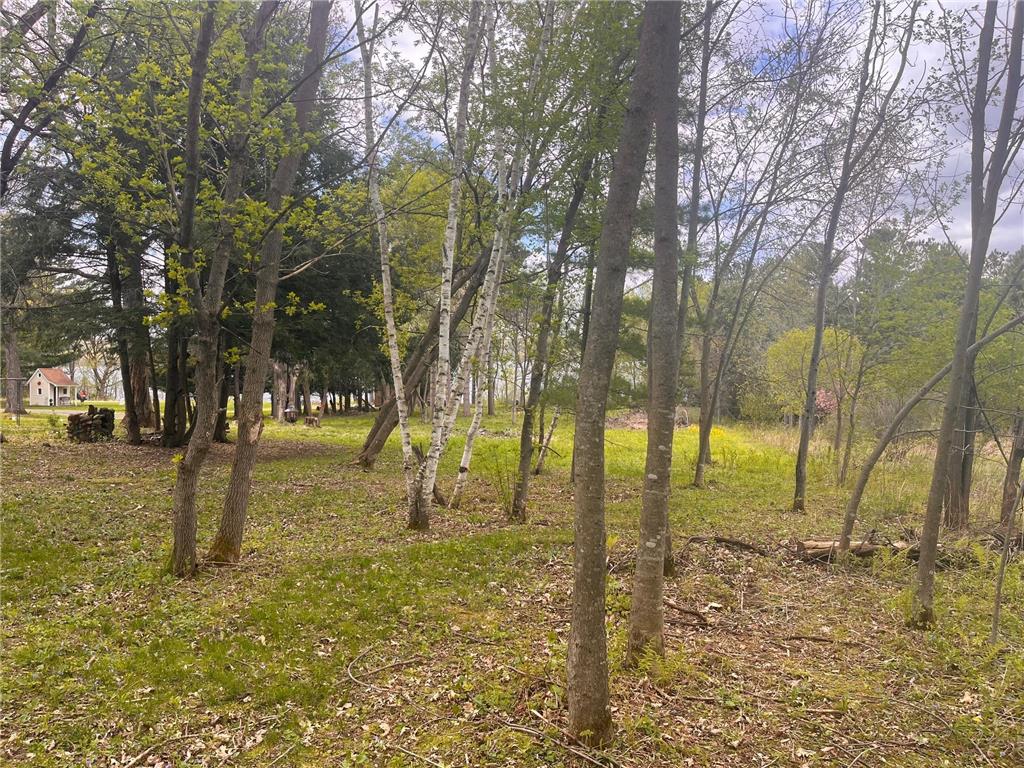 8xx 207th Street Osceola WI 54009 - Lotus Lake 7052361 image23