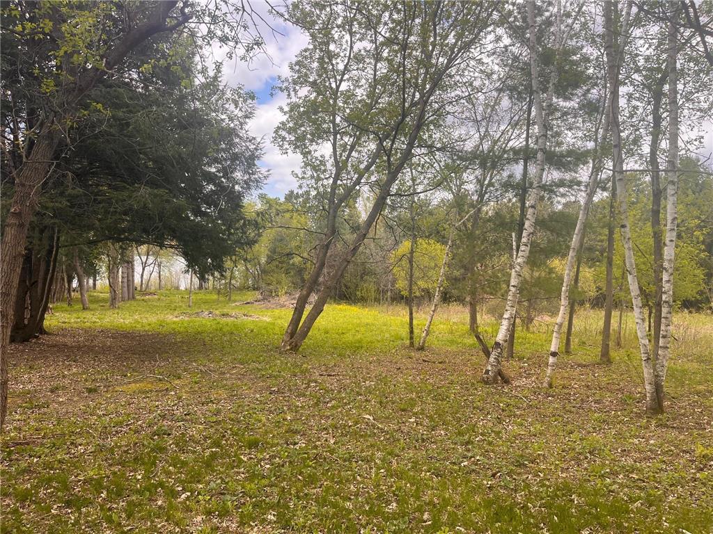 8xx 207th Street Osceola WI 54009 - Lotus Lake 7052361 image25