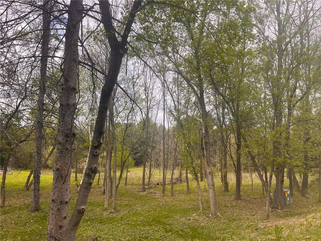 8xx 207th Street Osceola WI 54009 - Lotus Lake 7052361 image26