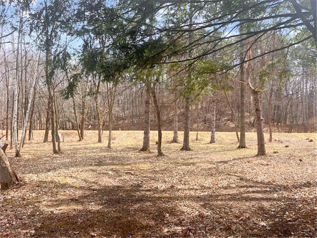 8xx 207th Street Osceola WI 54009 - Lotus Lake 7052361 image6