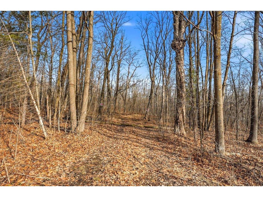 8xx 68th Avenue Lincoln Twp WI 54001 7029264 image13