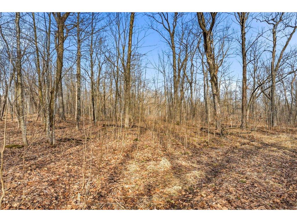 8xx 68th Avenue Lincoln Twp WI 54001 7029264 image14