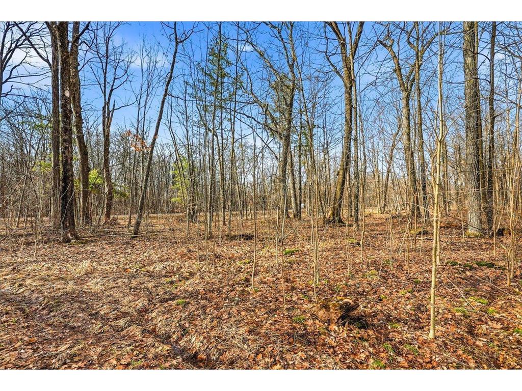 8xx 68th Avenue Lincoln Twp WI 54001 7029264 image15