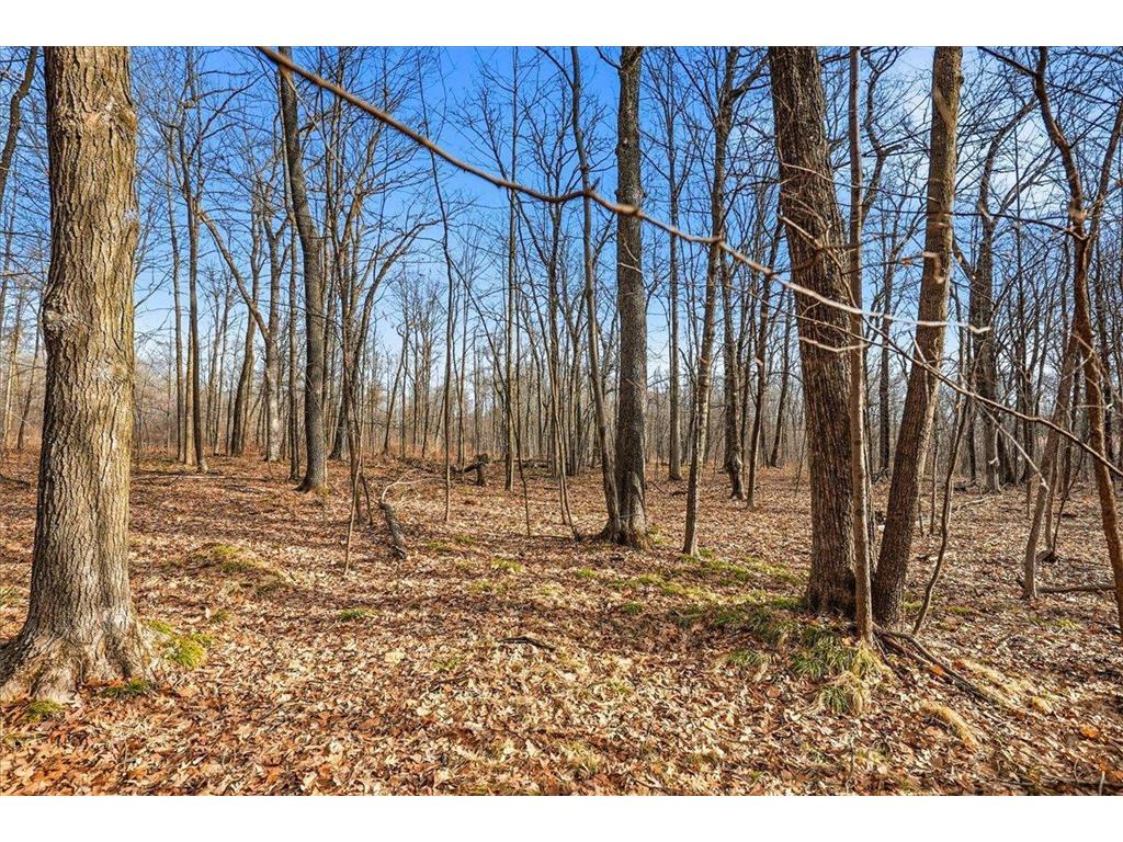 8xx 68th Avenue Lincoln Twp WI 54001 7029264 image16