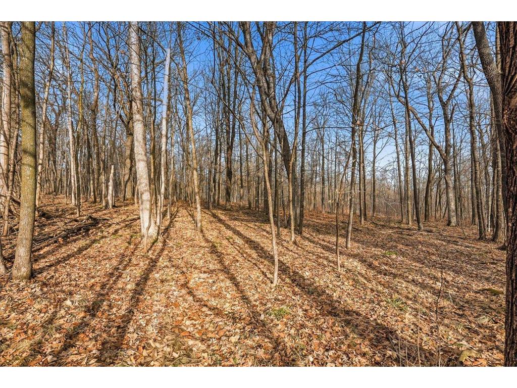 8xx 68th Avenue Lincoln Twp WI 54001 7029264 image17