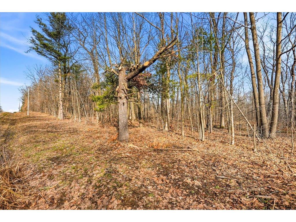 8xx 68th Avenue Lincoln Twp WI 54001 7029264 image18