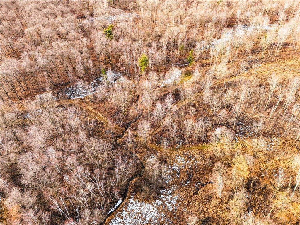 8xx 68th Avenue Lincoln Twp WI 54001 7029264 image9