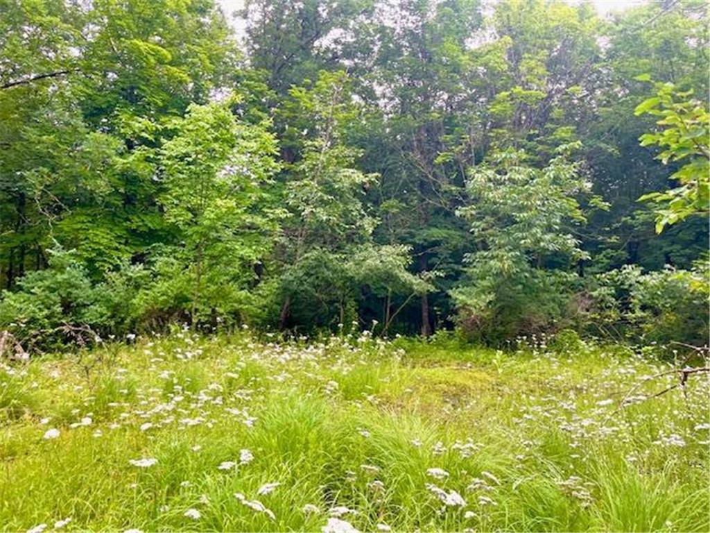 8xx E Louisiana Street Saint Croix Falls WI 54024 6558191 image1