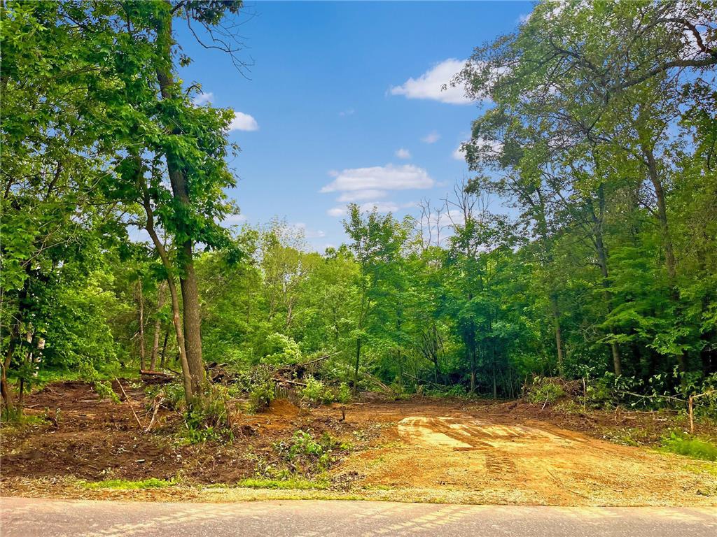 8xx E Louisiana Street Saint Croix Falls WI 54024 6781544 image1