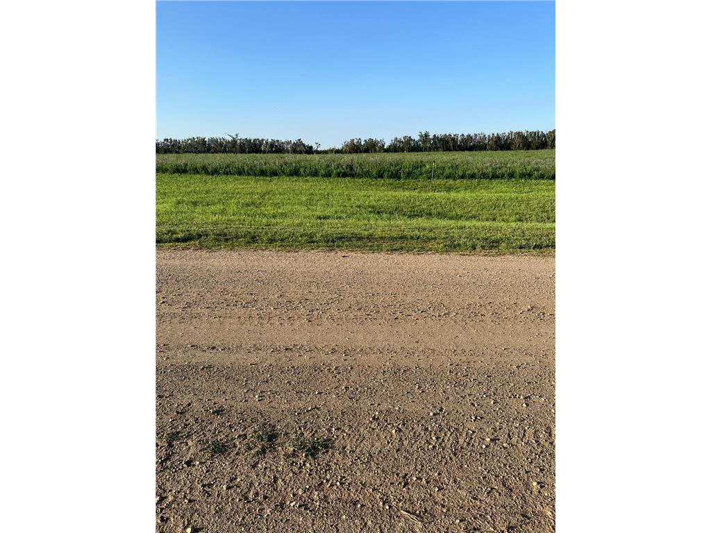 9 Royal Oaks Road Lake Sarah Twp MN 56132 - Sarah 6771187 image1