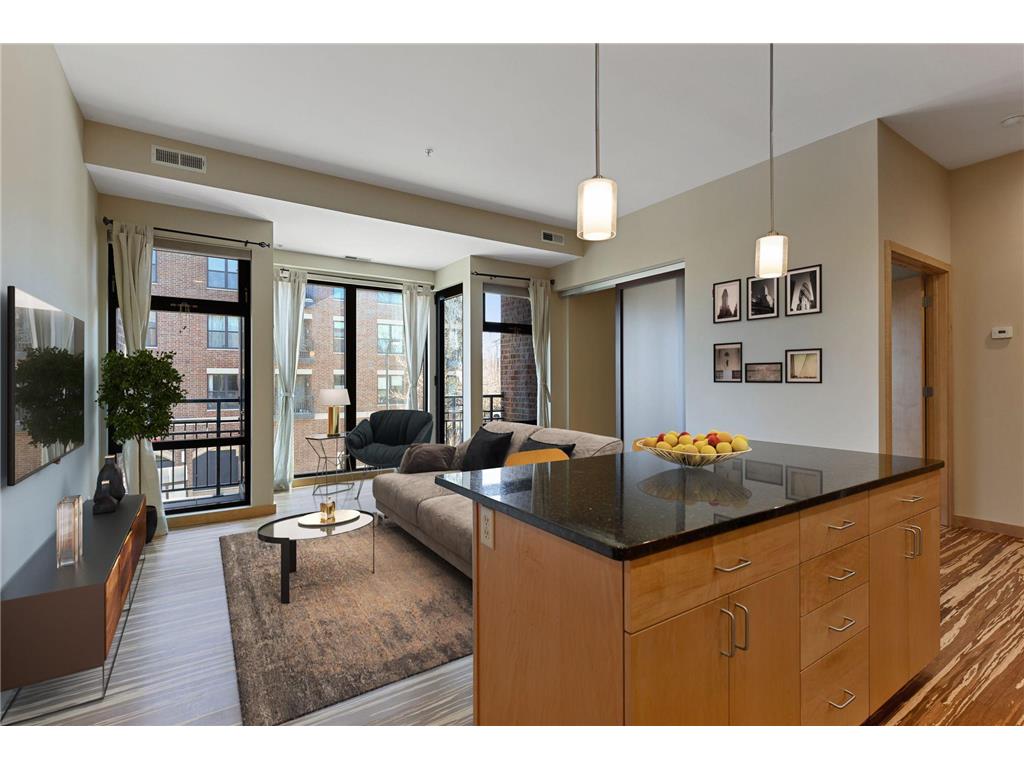 9 W Franklin Avenue #211 Minneapolis MN 55404 6699607 image1