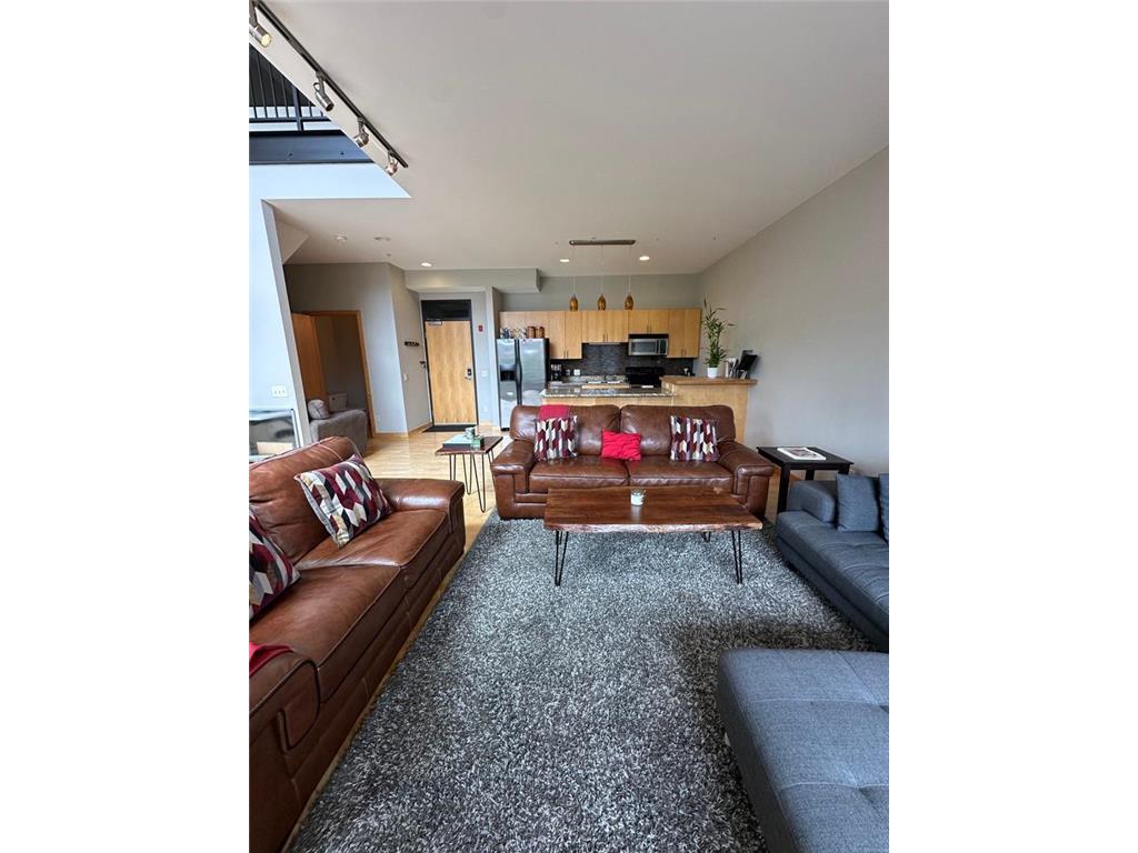 9 W Franklin Avenue #306 Minneapolis MN 55404 7081926 image2