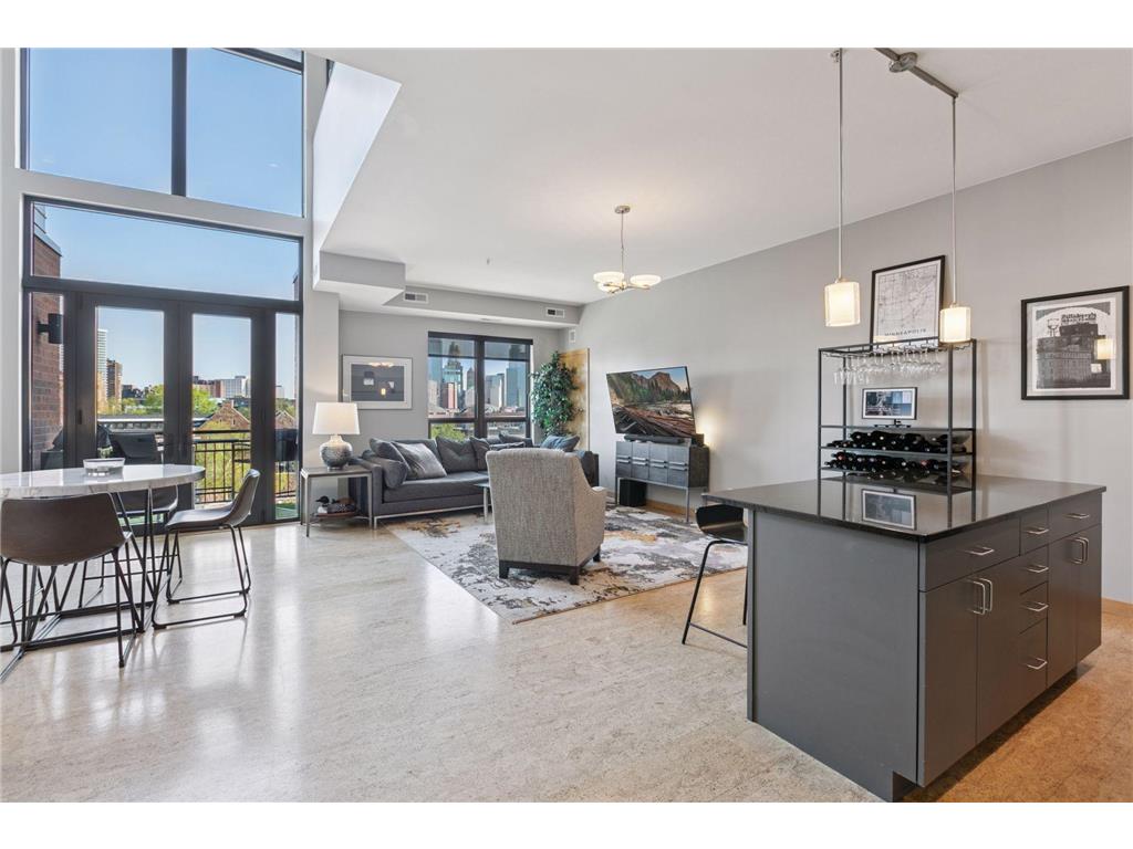 9 W Franklin Avenue #309 Minneapolis MN 55404 6717520 image1