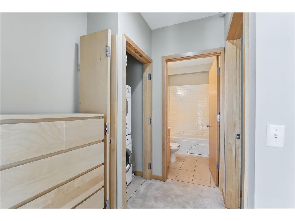 9 W Franklin Avenue #313 Minneapolis MN 55404 6725367 image17