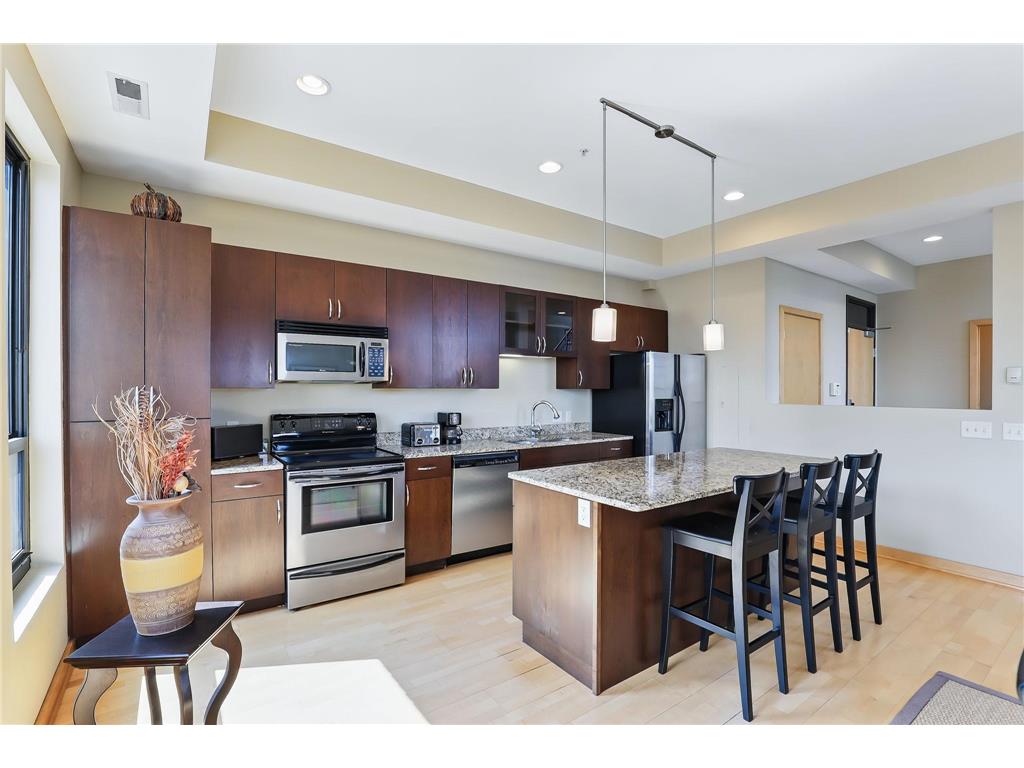 9 W Franklin Avenue #313 Minneapolis MN 55404 6725367 image8