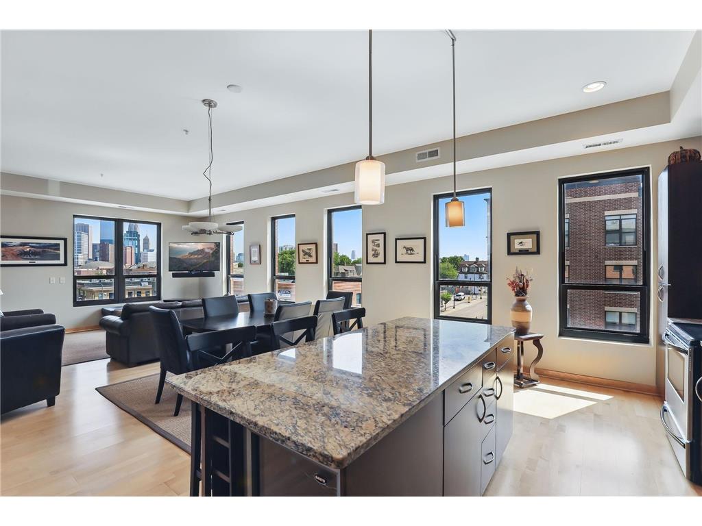 9 W Franklin Avenue #313 Minneapolis MN 55404 6725367 image9