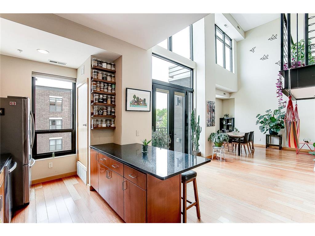 9 W Franklin Avenue #314 Minneapolis MN 55404 6401310 image1