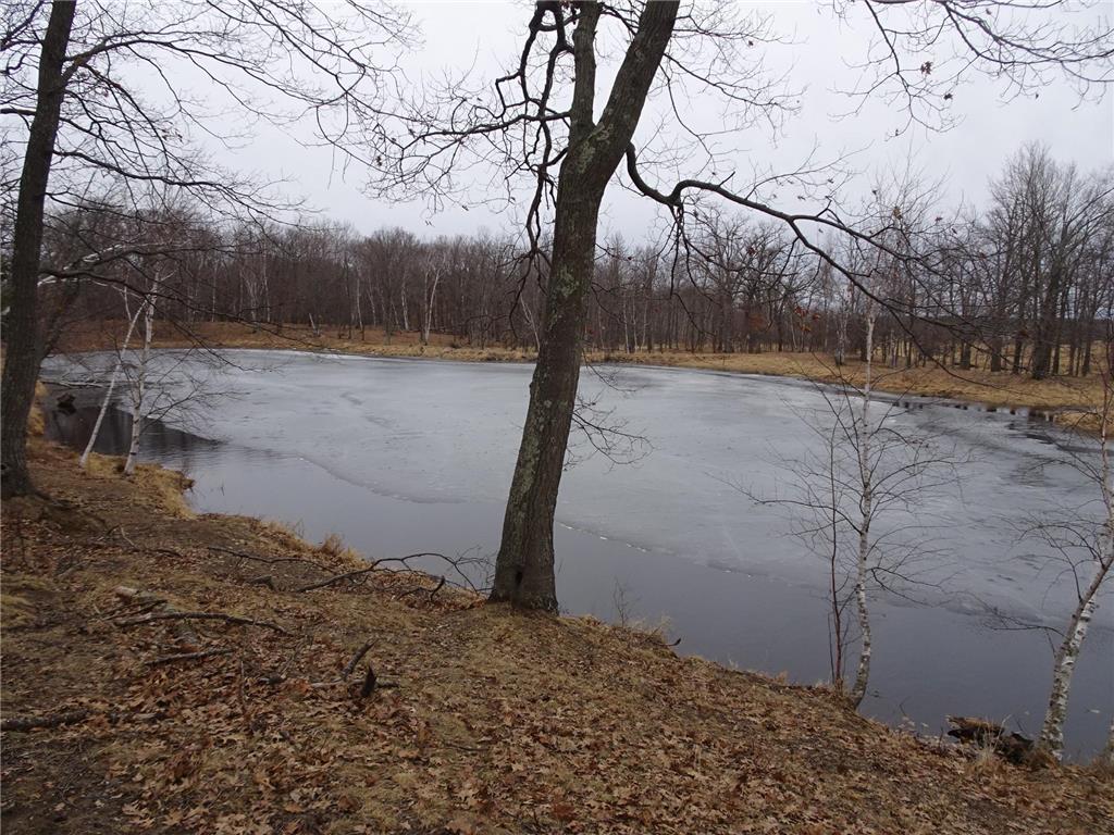 900 270th Avenue Luck WI 54853 6689211 image12