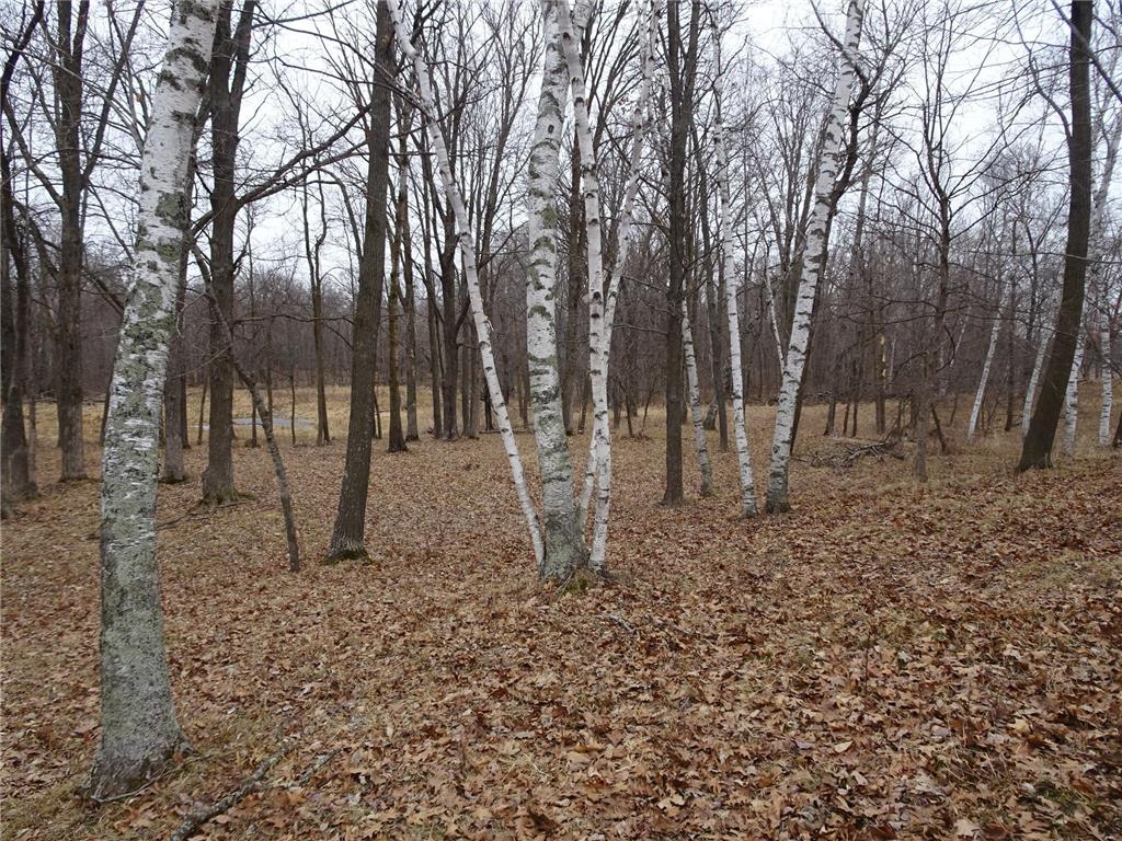 900 270th Avenue Luck WI 54853 6689211 image14