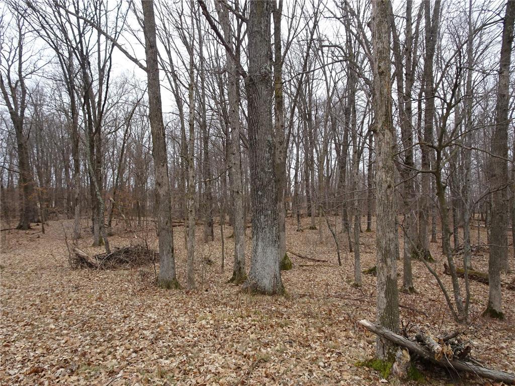 900 270th Avenue Luck WI 54853 6689211 image18