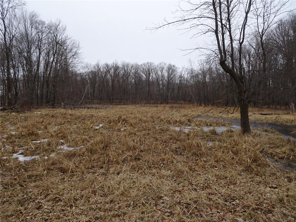 900 270th Avenue Luck WI 54853 6689211 image19