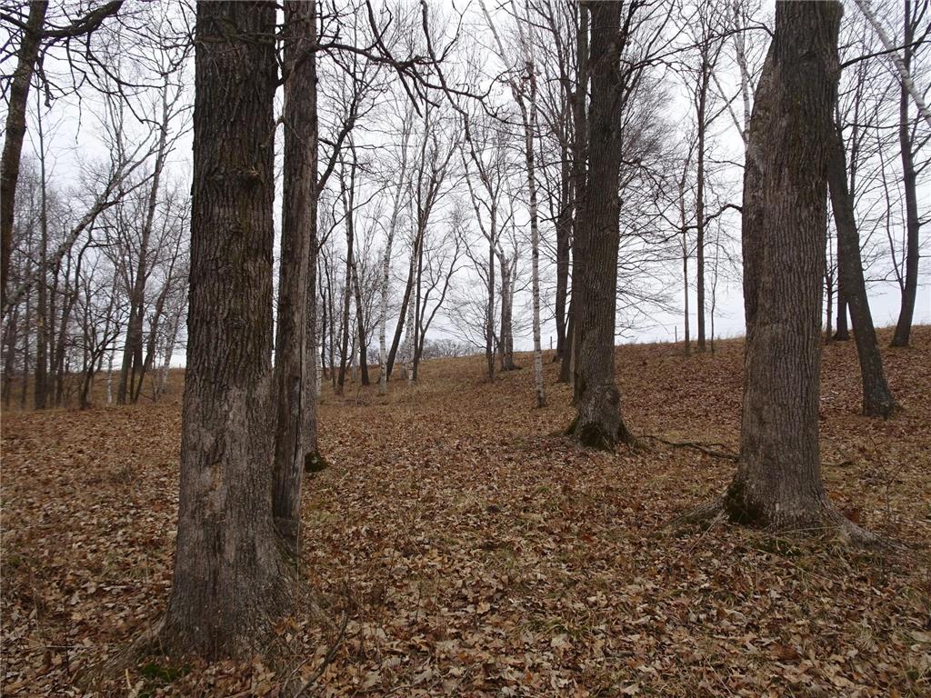 900 270th Avenue Luck WI 54853 6689211 image20