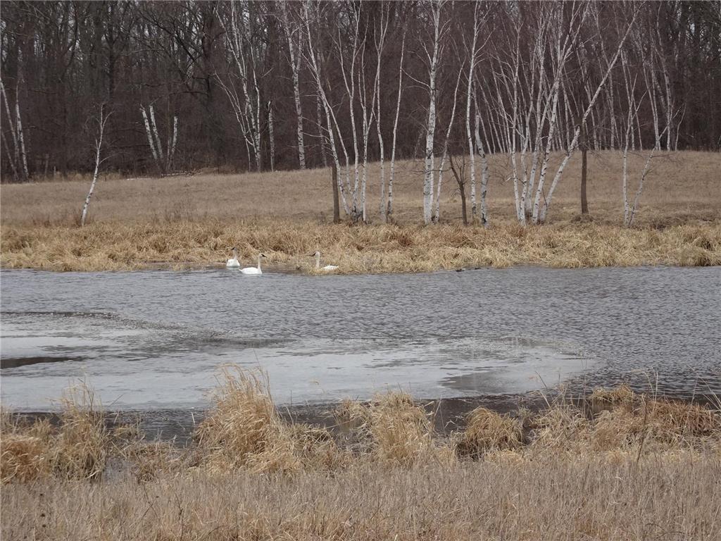 900 270th Avenue Luck WI 54853 6689211 image24